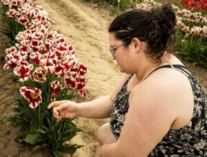 a person kneels in front of some tulips and lifts a hand up to brush against the petals of one that looks a little more worse for wear.